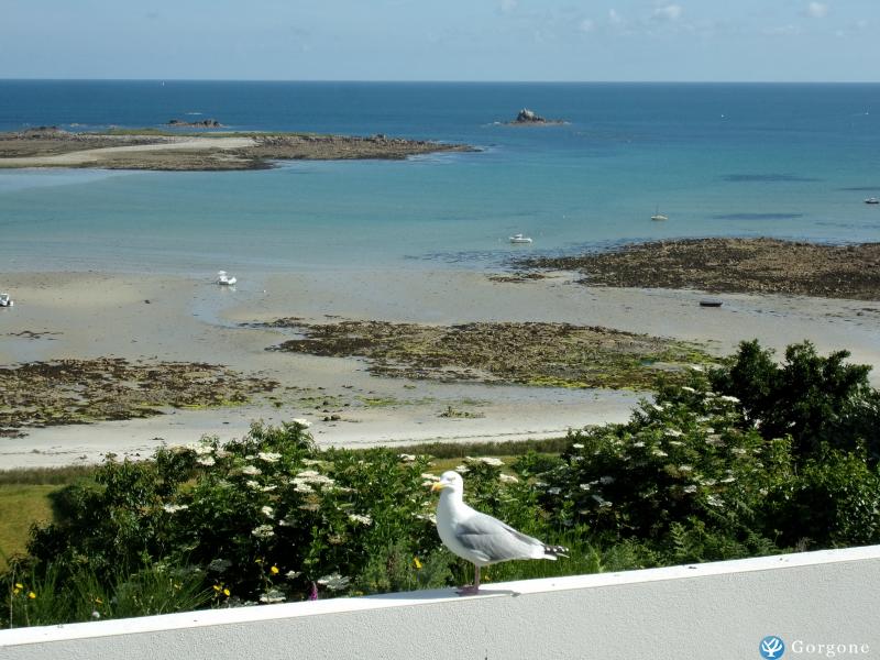 Photo n°8 de :Maison***vue mer exceptionnelle ,100m de la plage MER